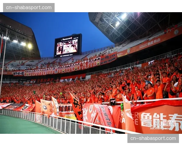 球迷在春训球场外举办自制球卡交换大会 球迷在春训球场外举办自制球卡交换大会